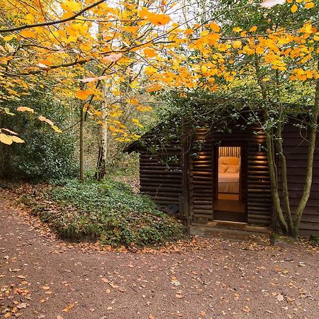 Pinetum Lodge Глостер Номер фото