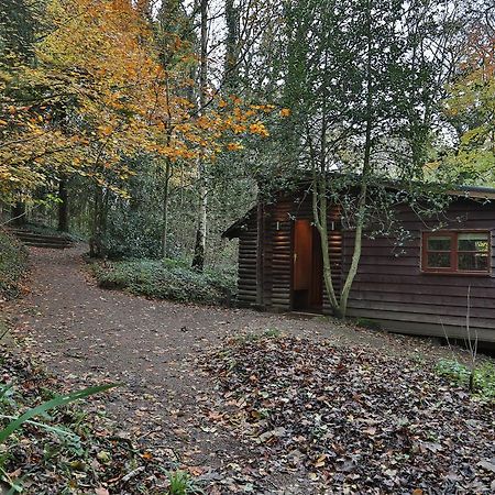 Pinetum Lodge Глостер Номер фото